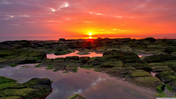 Sunset Landscape
