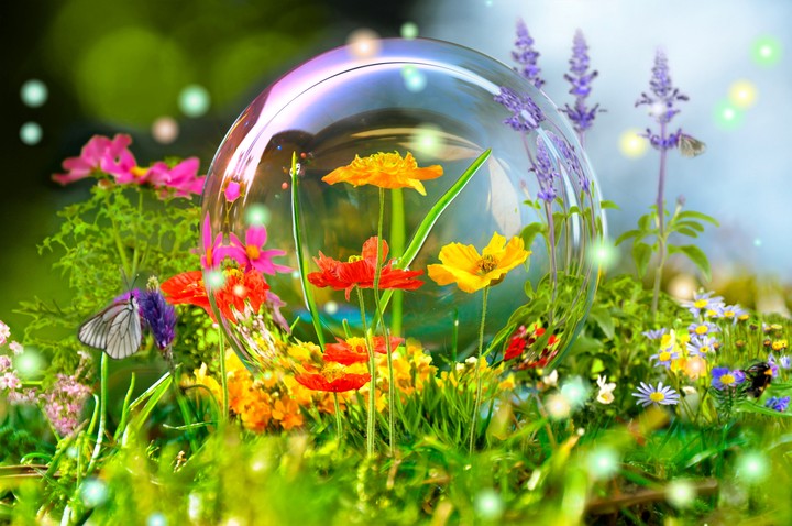 природа