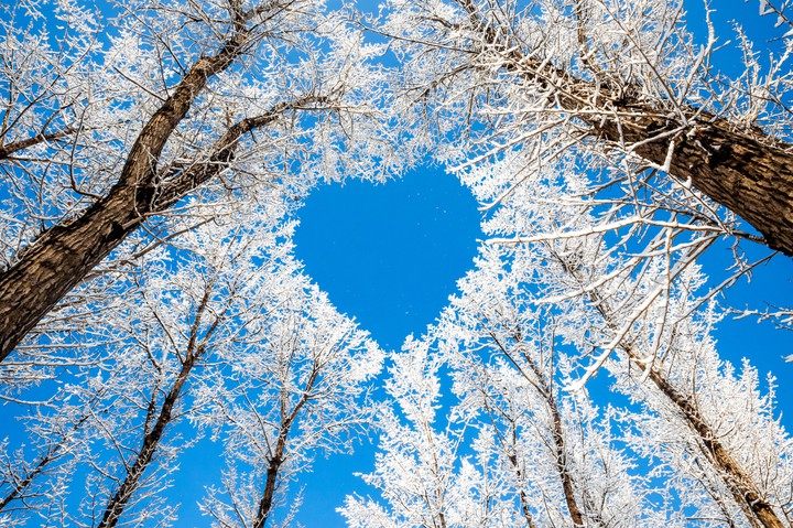 ❤