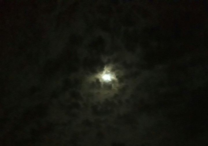 Moon