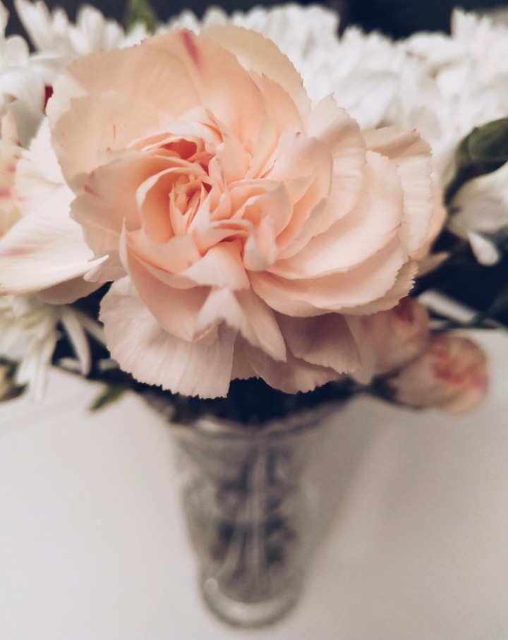 pretty flower