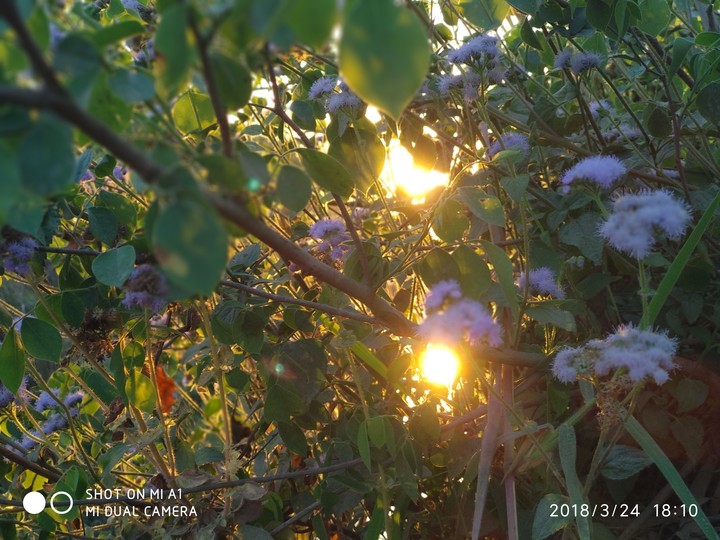 Nature