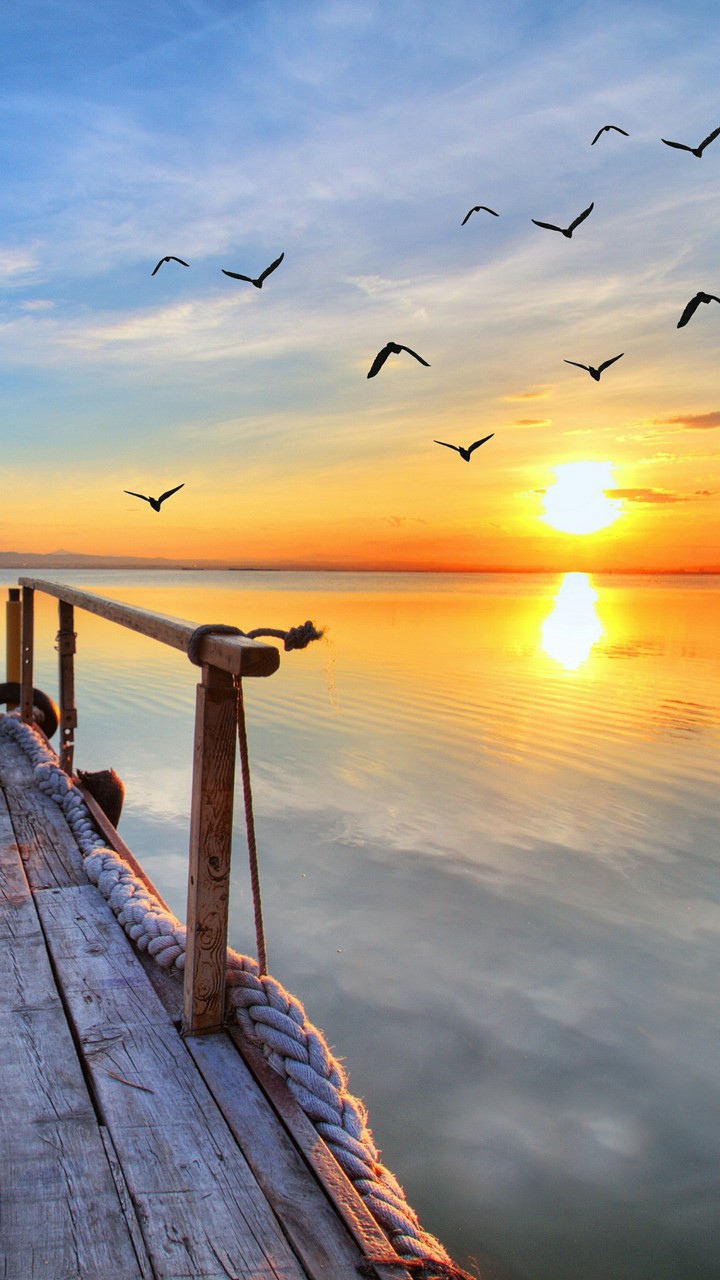sunset