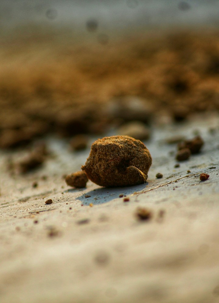 Soil wallpaper