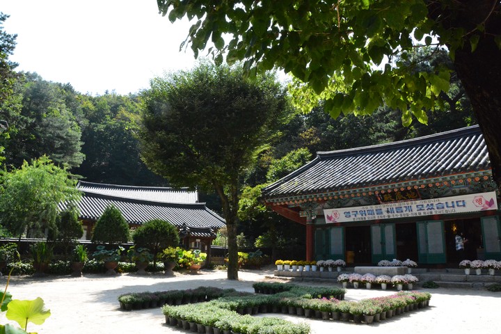 풍경이미지