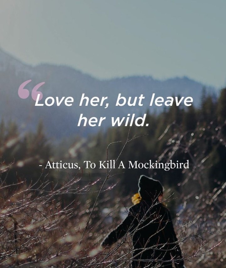 Quotes