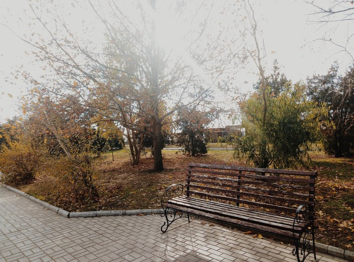 Autumn