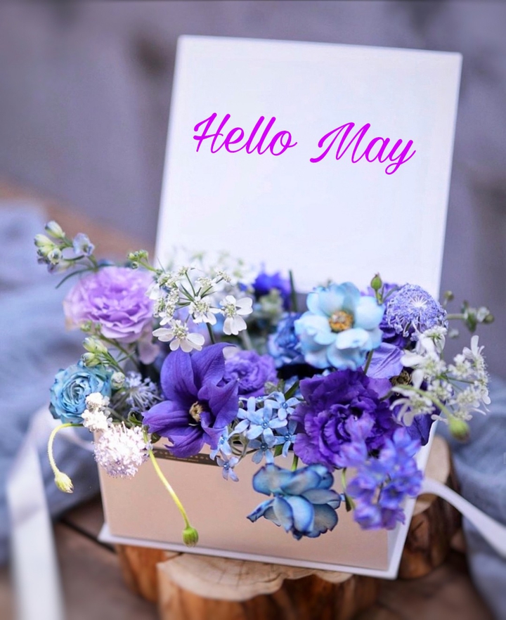 Hello May ❤️