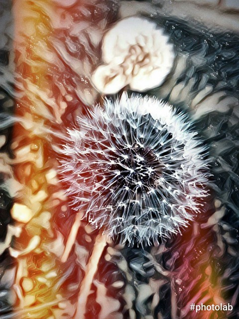 #sun