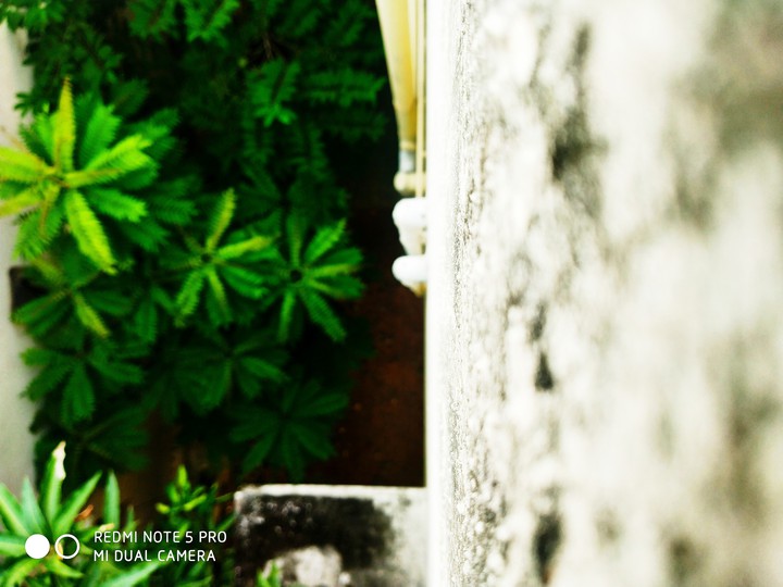 out of focus