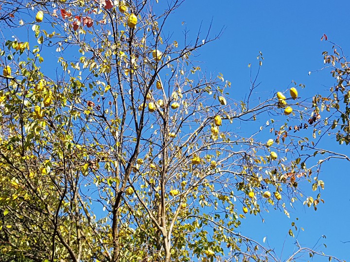 sky in Fall 2