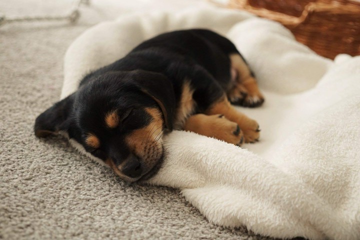 long day...