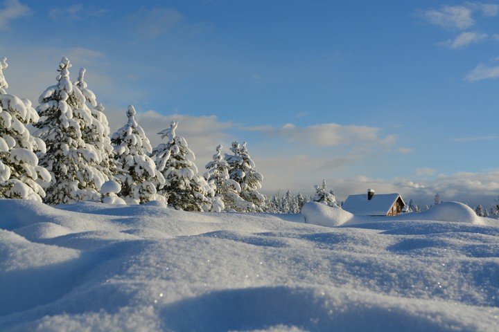 snow