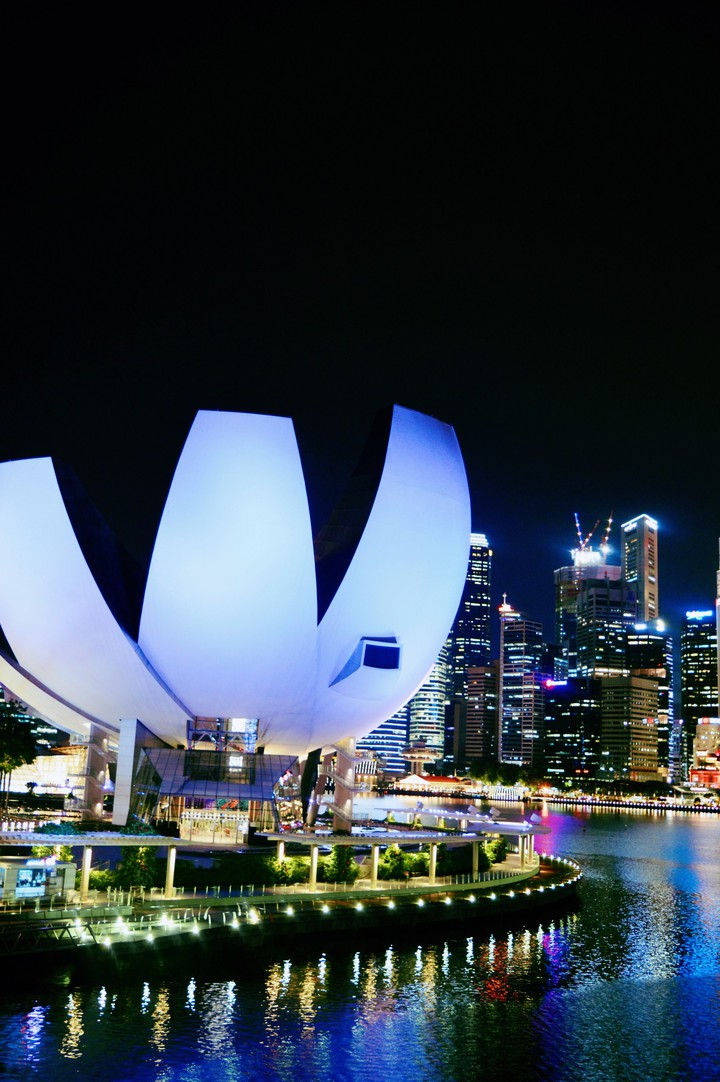 Singapore art science museum