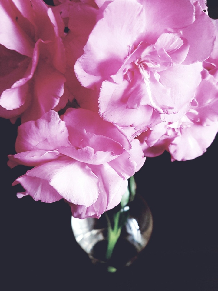 Fiori vari