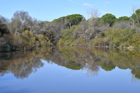 #paisaje&@