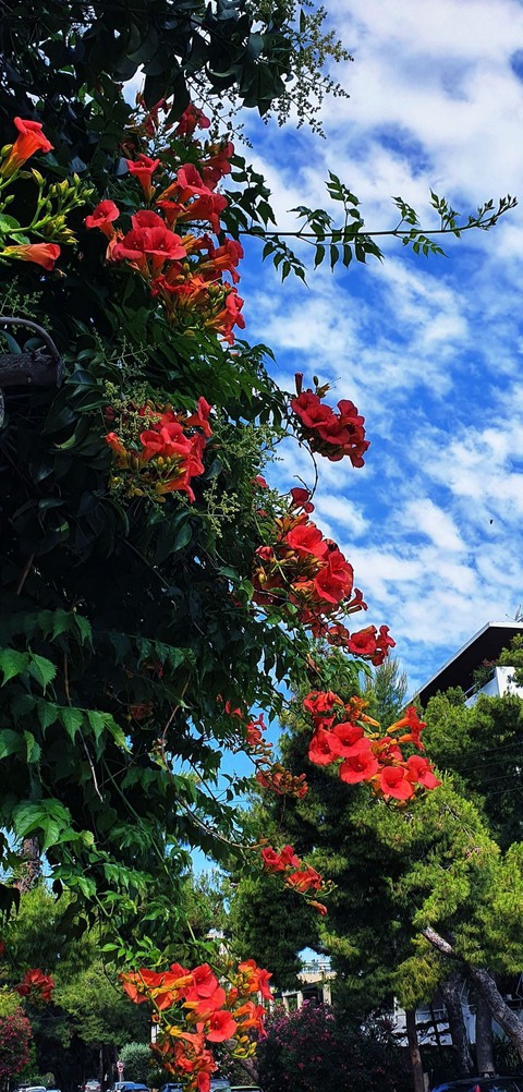 summer