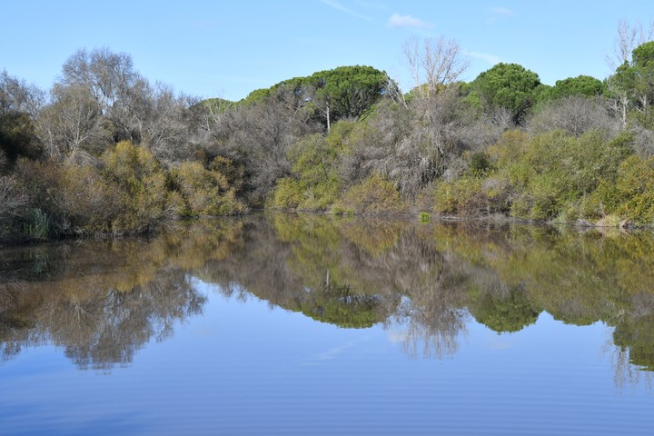 #paisaje&@