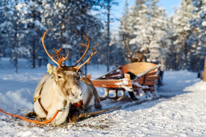 winter#snow