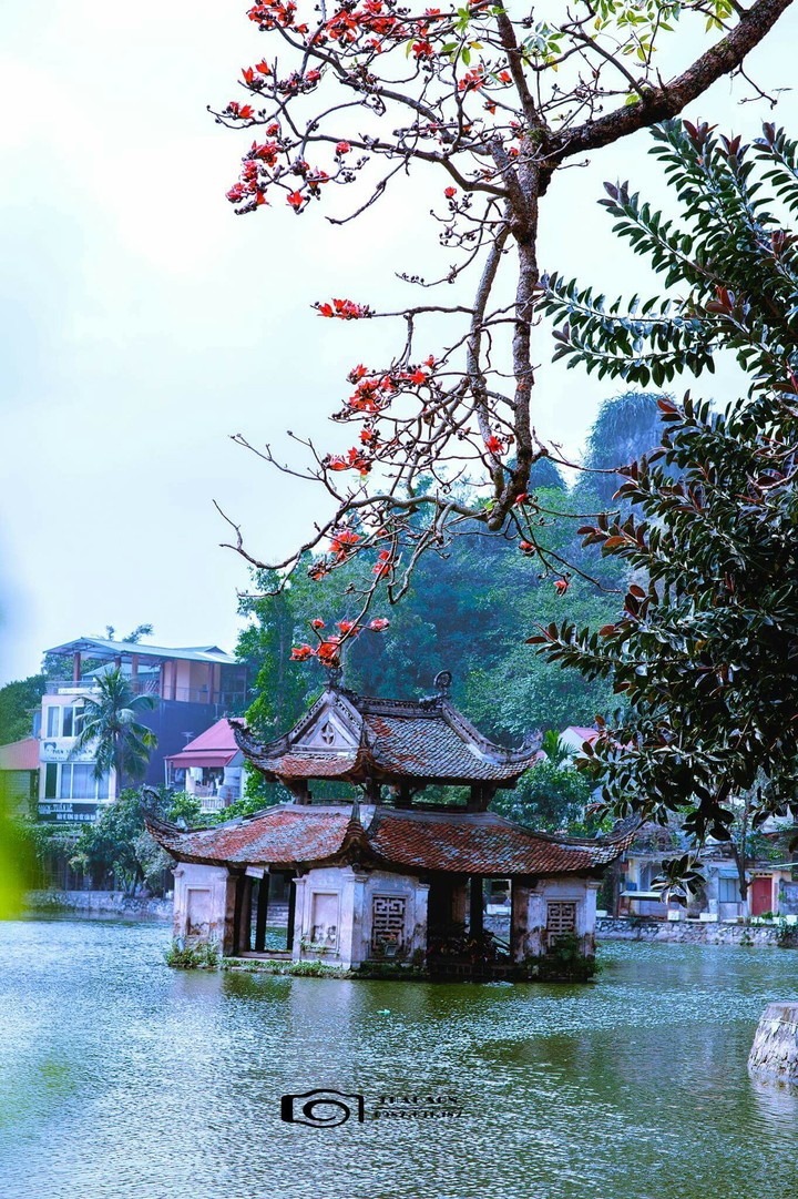 water house, teacher pagoda, hanoi, vietnam