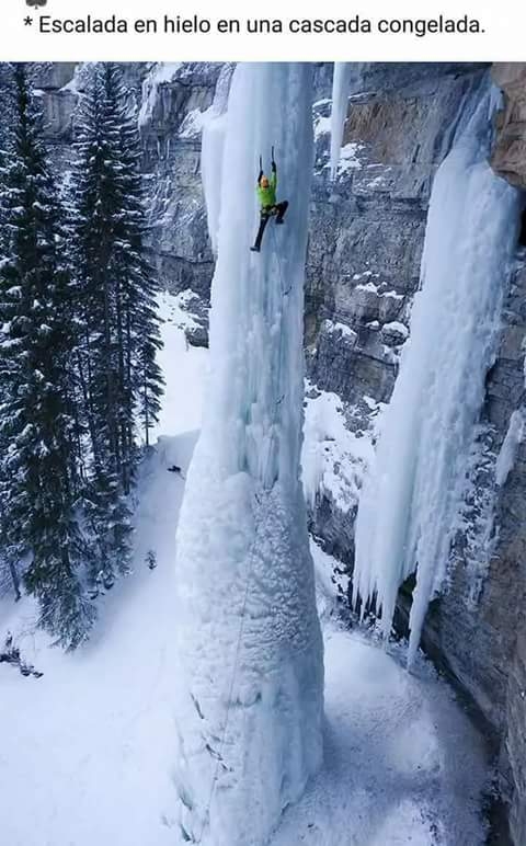 frio