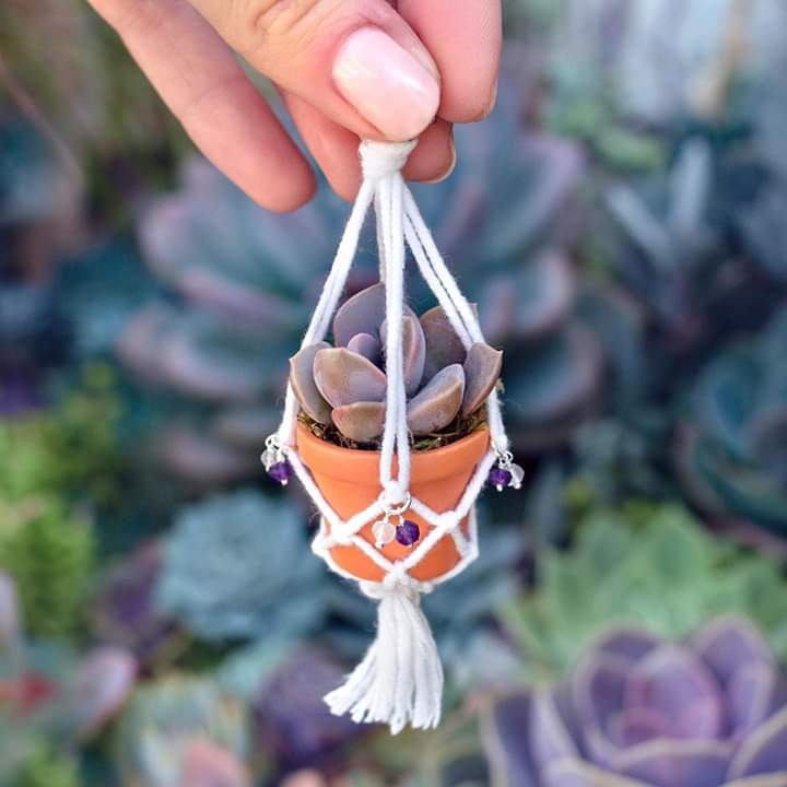 assim