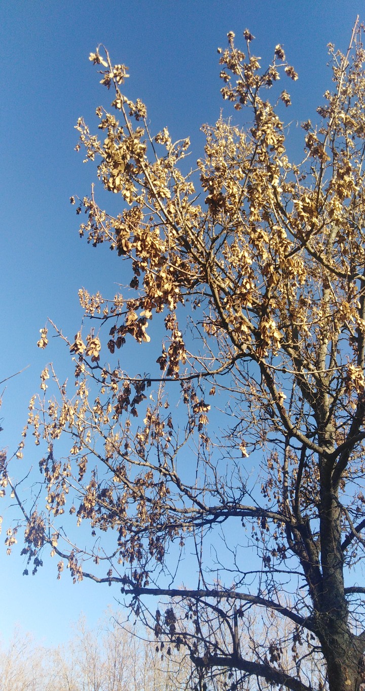 beautiful weather