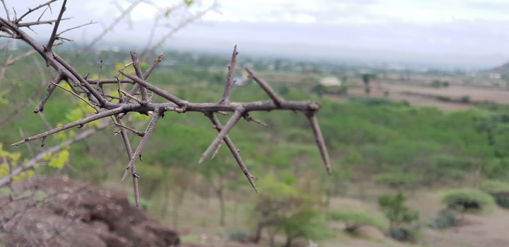nature beauty!!!