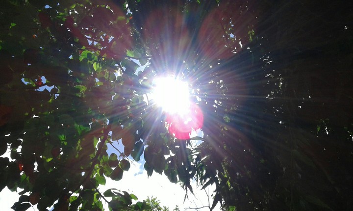 afternoon sunshine