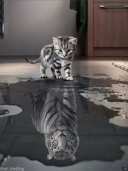 Self