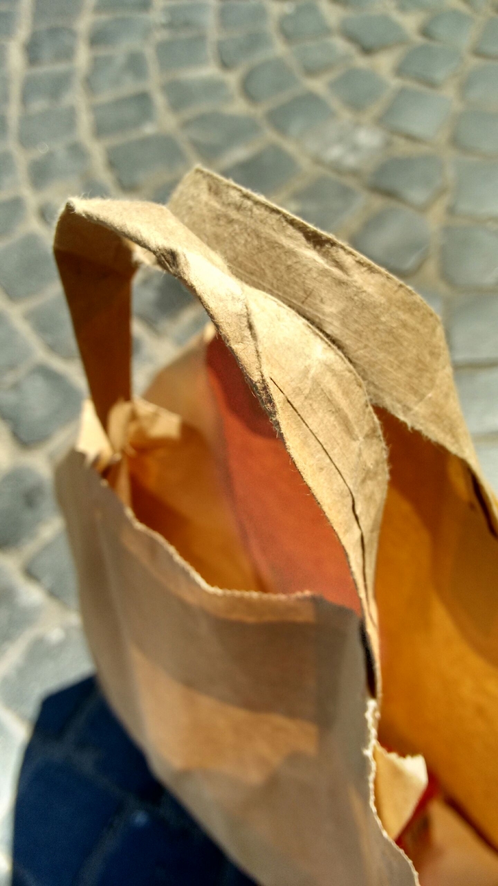 The Paper Bag