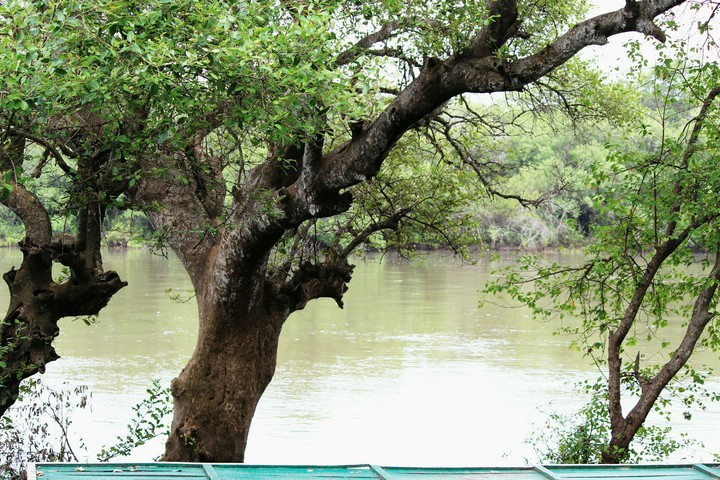 Mother nature