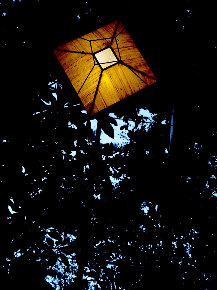 Heart of Night