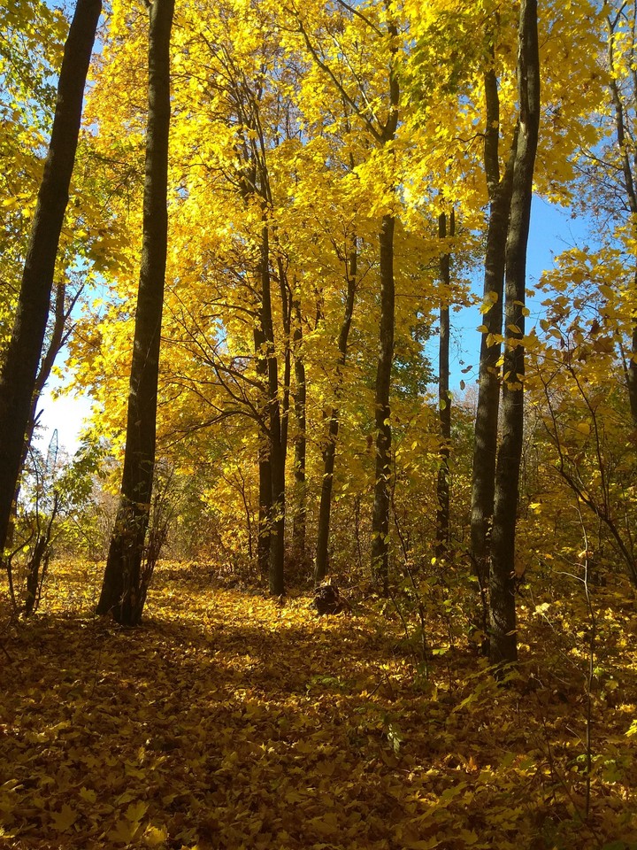 Autumn