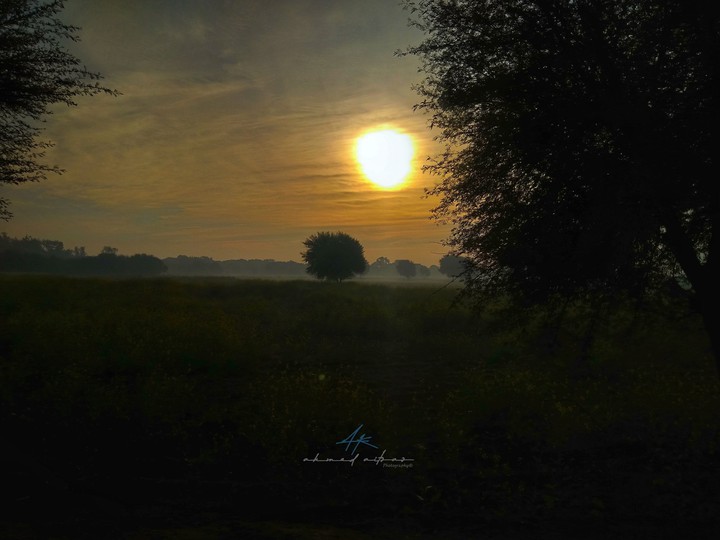 sunrise