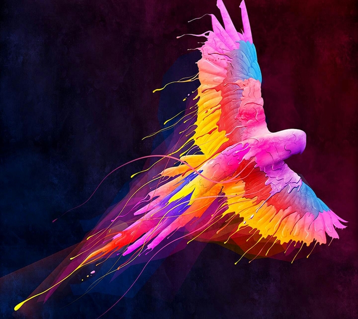 Colors 