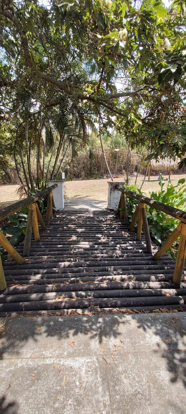 Puente