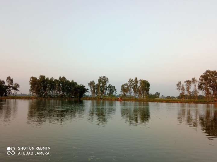 Nice pond