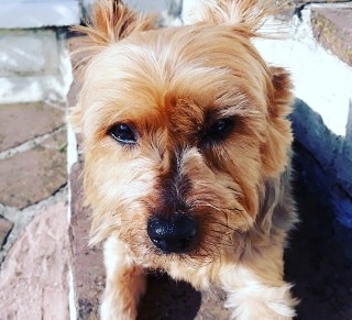 Zoé