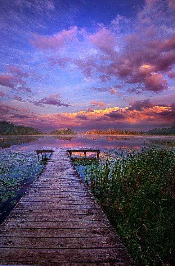 nature
