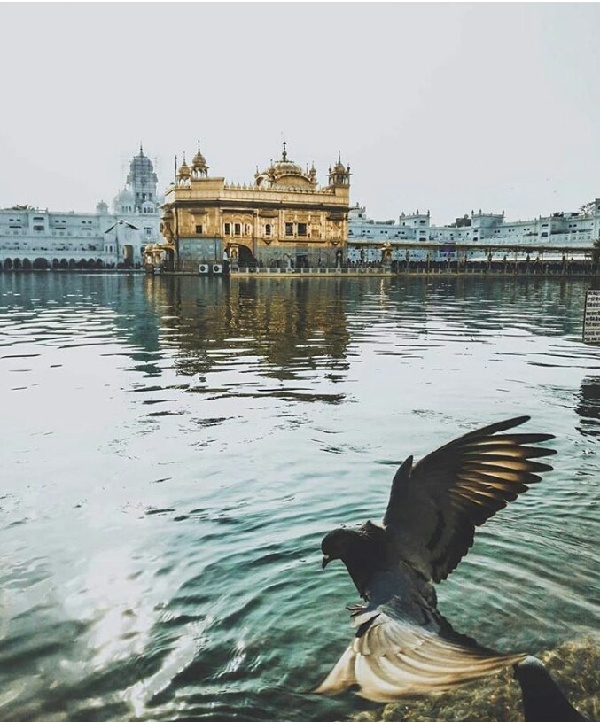 Golden Temple