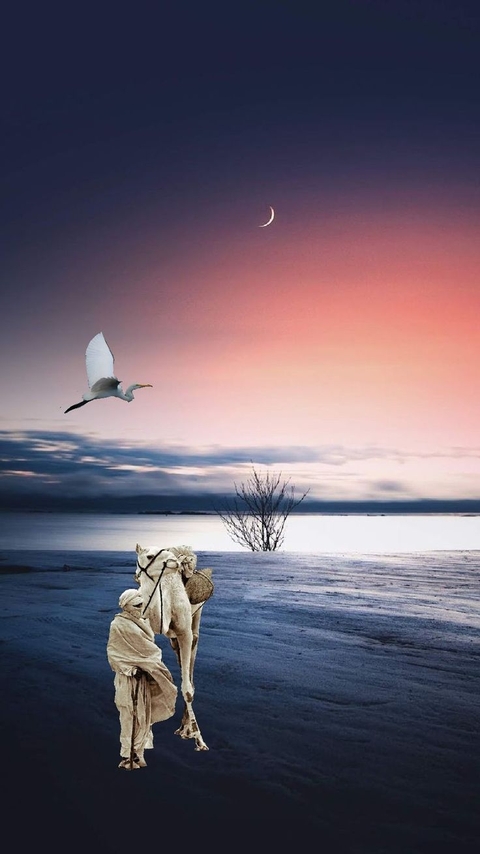 Bird, Horizon, Cloud