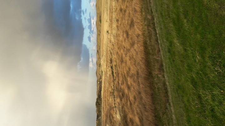 Let the sun shine