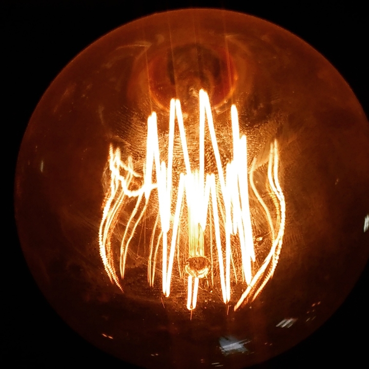inside the bulb