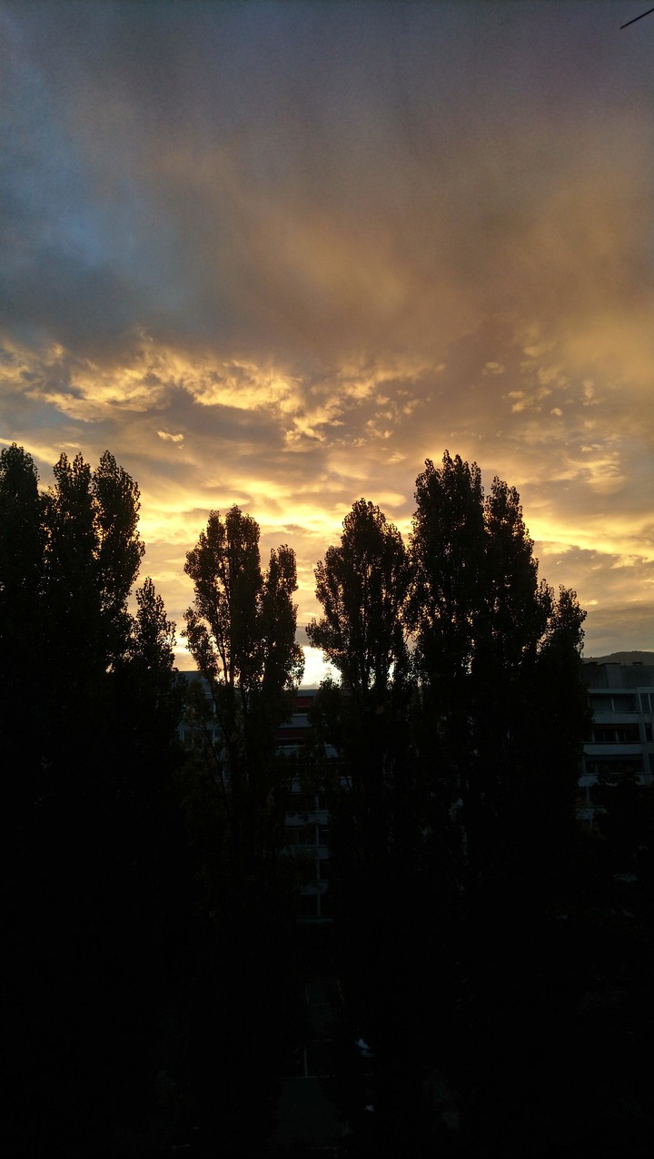 sun