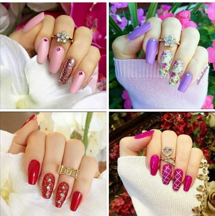 which one is nice