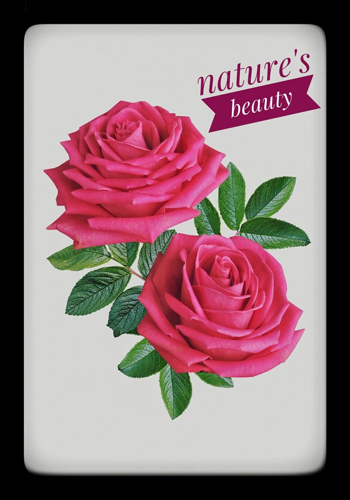 roses