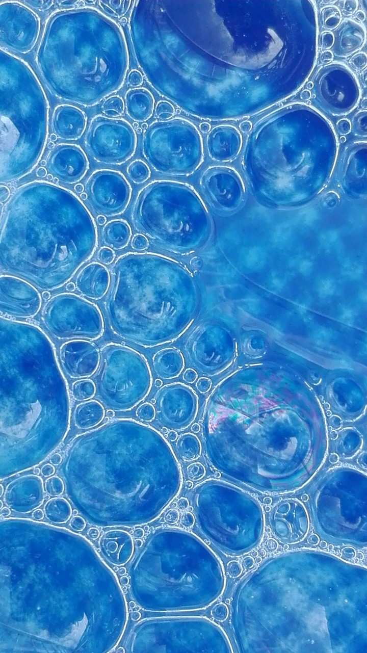 bluebabol