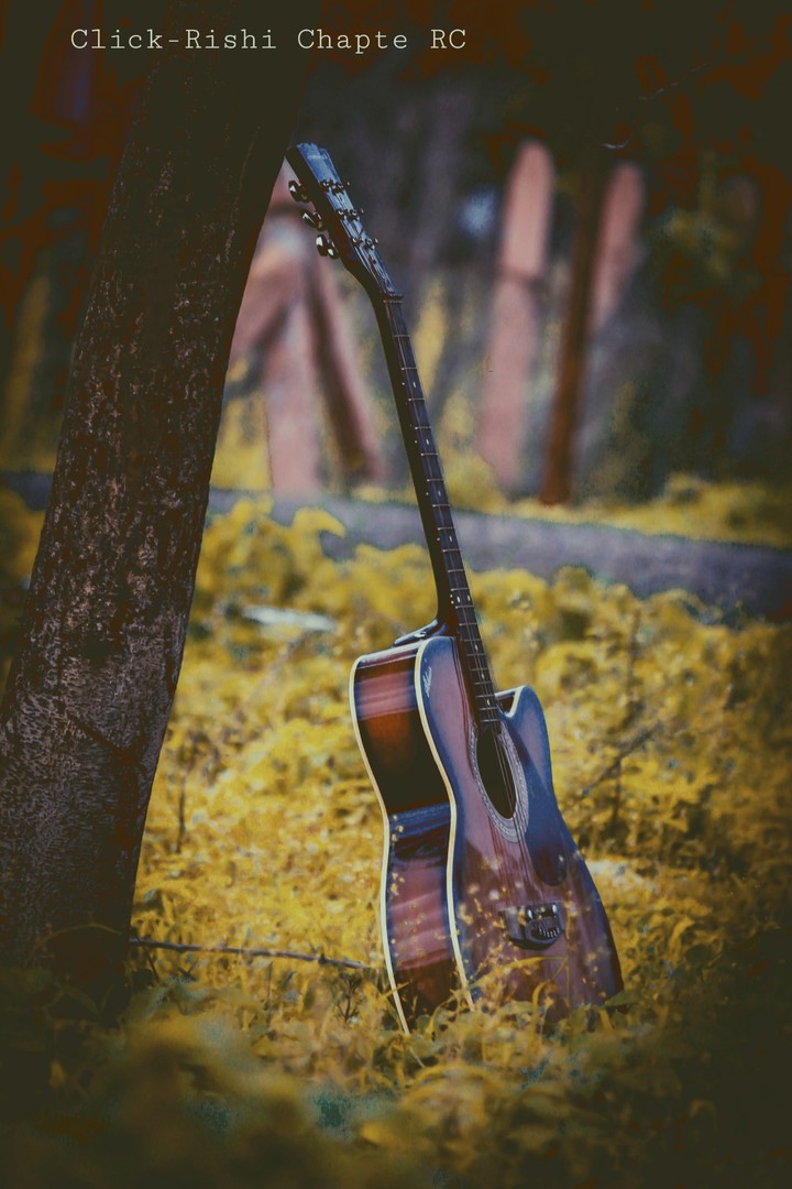 guitar