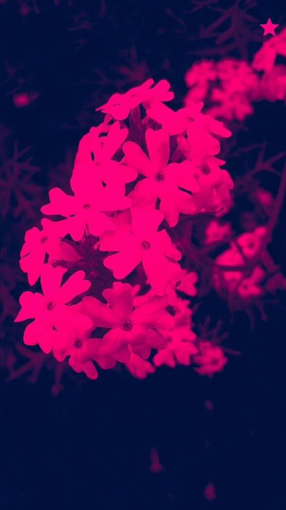 flowers!